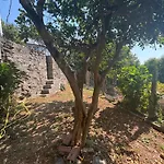 La Casa De San Lazaro