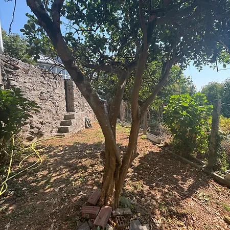 La Casa De San Lazaro