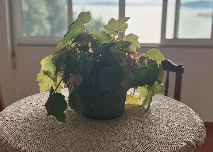 La Casa De San Lazaro Σπίτι διακοπών *