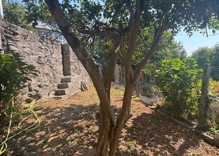 La Casa De San Lazaro